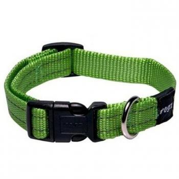 Collare nylon verde per cani taglia L promozione speciale