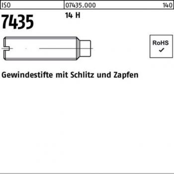 Gewindestift ISO 7435 M8x30 14 H 100er Pack