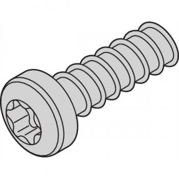 Accessori per montaggio rack 19 pollici - Viti Torx M2.5x7.3