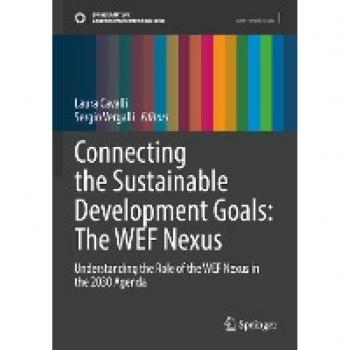 Connecting the Sustainable Development Goals: The WEF Nexus: Understanding the Role of the WEF Nexus in the 2030 Agenda (Sustainable Development Goals Series)