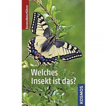Welches Insekt ist das?