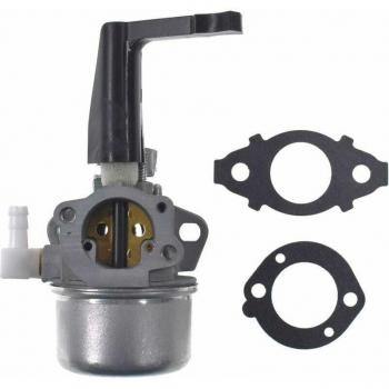 Briggs & Stratton Vergaser mit Dichtung für 110402-0206-E1