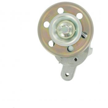 Rullo tenditore cinghia Poly-V SKF VKM 61019