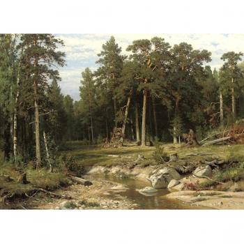 Bosque de pinos en Viatka Provincia by Ivan I.I. Shishkin, 100% pintado a mano óleo sobre lienzo