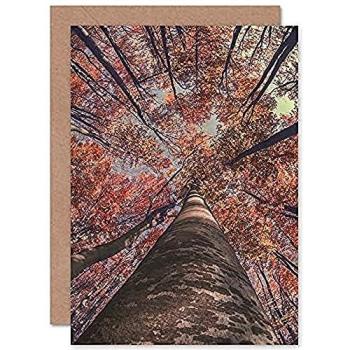 Brown Birch Fall Tree Greeting Card