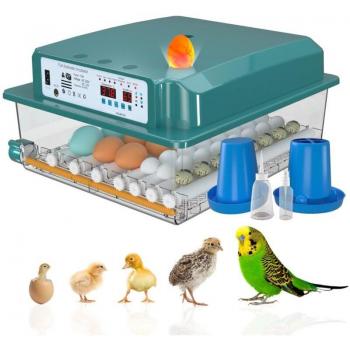 Incubateur Oeuf Automatique 24-36 Œufs avec Retournement et Surveillance de l’Humidité