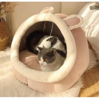 CocoonCanin & Chat