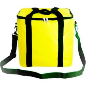 Caja Grande de Picnic Refrigerada 13L