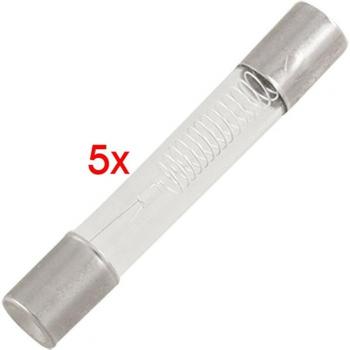 5 Pcs 5KV 0.75A 750mA Fuse Tubes for Microwave