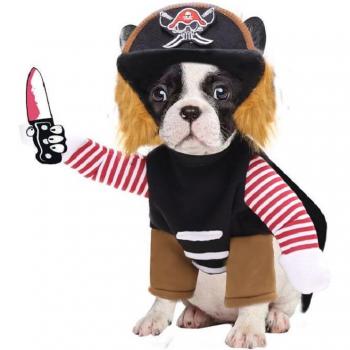 Funny Pet Clothes for Bulldogs and Pugs