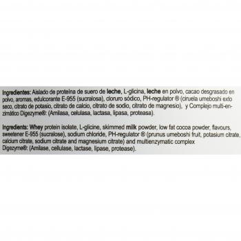 BIG - BIG ISO - aislado proteina chocolate fudge 1,8 kg