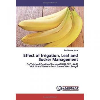 Effect of Irrigation Leaf and Sucker Management