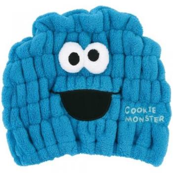 Sesame Street Skater Absorbent Towel