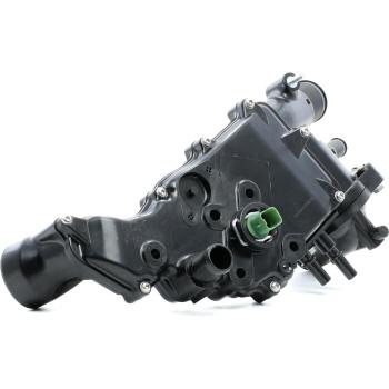 Termostato Motore RIDEX 316T0288 PEUGEOT CITROËN