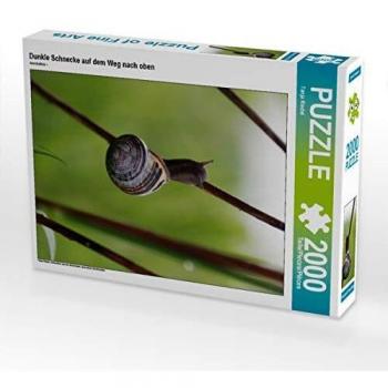 CALVENDO Puzzle Dunkle Schnecke auf dem Weg nach oben 2000 Teile
