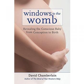 Windows to the Womb: Revealing the Conscious Baby from Conception to Birth