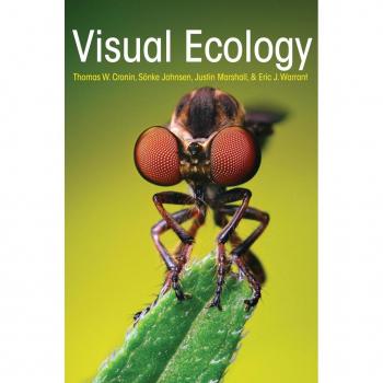 Vitalsource Technologies, Inc. Visual Ecology