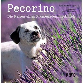 Pecorino: Die Reisen eines Promenadenmischlings