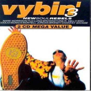 Vybin' 3