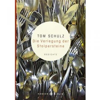 Tom Schulz Die Verlegung Der Stolpersteine: Gedichte
