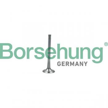 Auslassventil Borsehung B19011