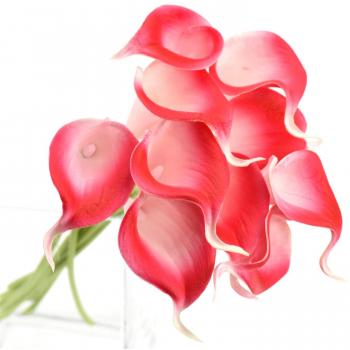 FiveSeasonStuff 10 Piezas de Toque Realista Lirios Cala Artificial Calidad Ramo de Flores, Perfecto para la Boda, Nupcial, Partido, Hogar, Oficina de la Decoración de DIY