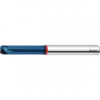 Garant Fresa Toroidale Frontale HMI Diabolo HPC TiAlN – Garant