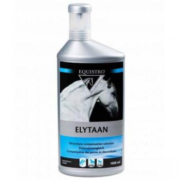 Elytaan equistro concentrato di elettroliti per reidratazione equini 1 litro