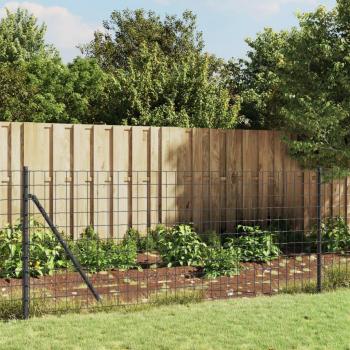 Malla de Jardín VidaXL: Alambre con Pinchos de Anclaje Gris Antracita 1,1 x 25 m