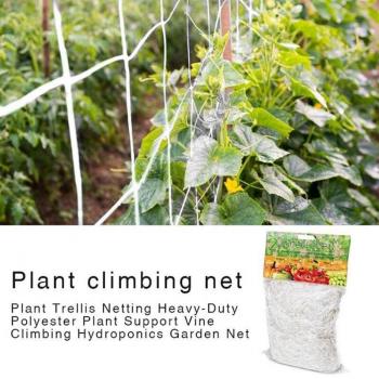 Enrejado Hidropónico 1.67 × 10 m – Planta Apoyo Vidrio