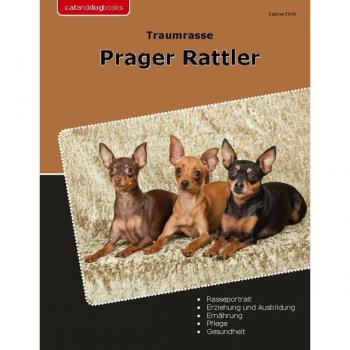 Traumrasse Prager Rattler