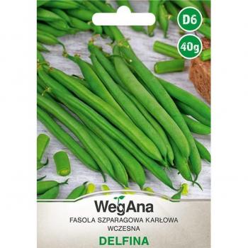 Fagioli comuni nani Delfina 40g