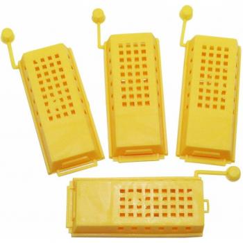 HiveKeeper Queen Safe 60‑Piece Set