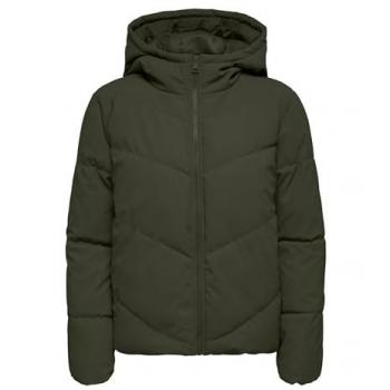 Giacca Winter JDY Arnhem Abete