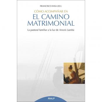 Cómo acompañar en el camino matrimonial: La pastoral familiar a la luz de amoris laetitia (Tapa blanda).
