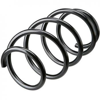 Kilen Front Coil Spring 22061