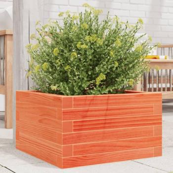 Rustic Wax Brown Garden Planter 40x40x23 cm Solid Wood