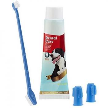 Kit d'hygiène dentaire pour animaux : brosses et dentifrice