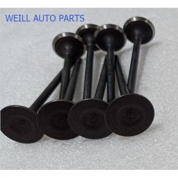 WEILL 1007012-ED01 Exhaust Valve Set for Great Wall Haval H6 4D20
