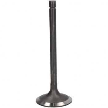 Einlassventil FRECCIA R4232/SNT