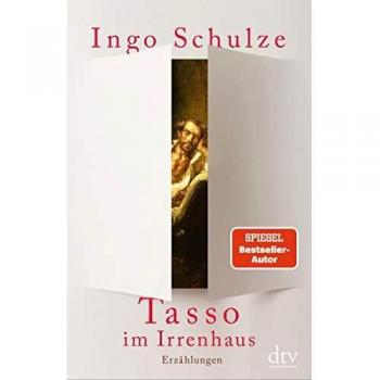 Ingo Schulze Tasso Im Irrenhaus: Erzählungen