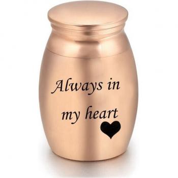 Waterproof Stainless Steel Pet Ashes Urn