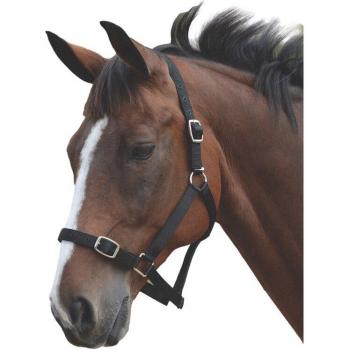 Juego de cabestro y correa para caballo con cabezada Roma
