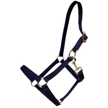 Kentucky Horsewear Halfter (Navy)