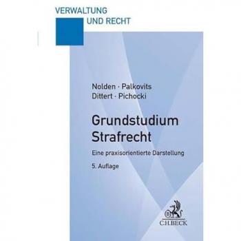 Grundstudium Strafrecht: Eine praxisorientierte Darstellung
