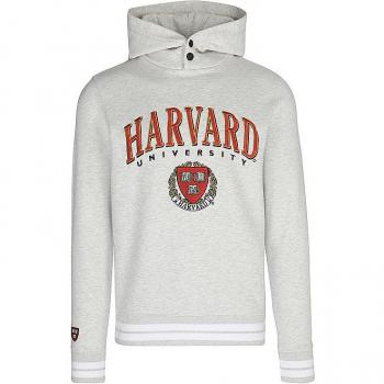 Capucha Replay Sudadera Gris Cotton