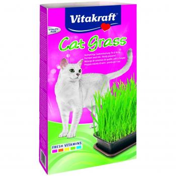 Katzengras von Vitakraft – Einzelstück