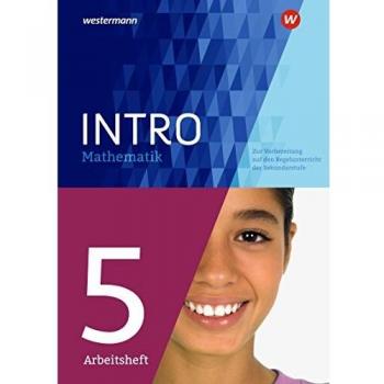 INTRO Mathematik SI 5. Arbeitsheft