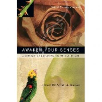 Awaken Your Senses