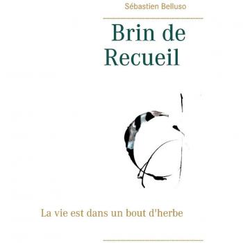 Brin de Recueil: La vie est dans un bout d'herbe